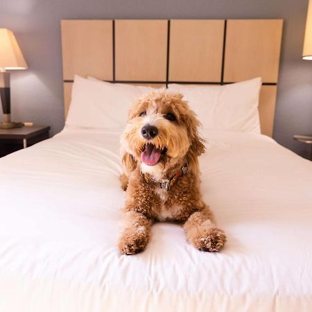 Sonesta Simply Suites Boston Берлінгтон Екстер'єр фото
