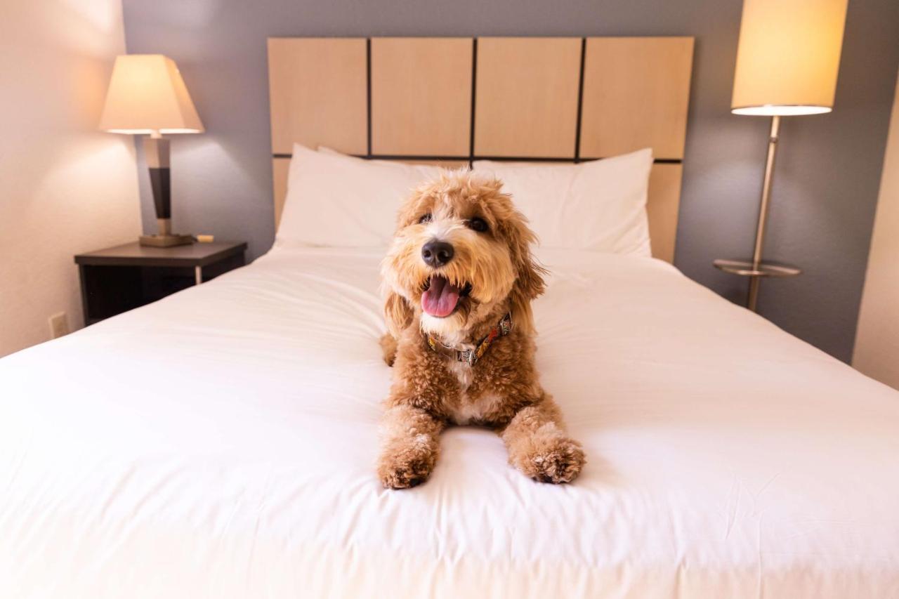 Sonesta Simply Suites Boston Берлінгтон Екстер'єр фото